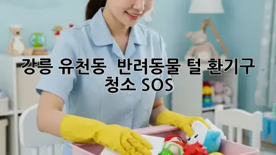 강릉 유천동 🏡 반려동물 털🌪️ 환기구 청소 SOS!