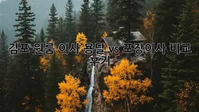 김포 원룸 이사, 용달 vs 포장이사 비교 후기